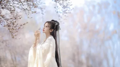 滕王阁入口石墩争议