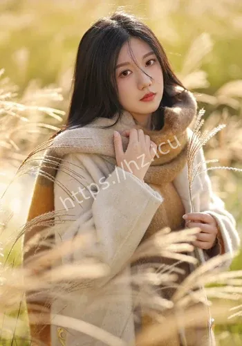 页面不存有野心事件全程